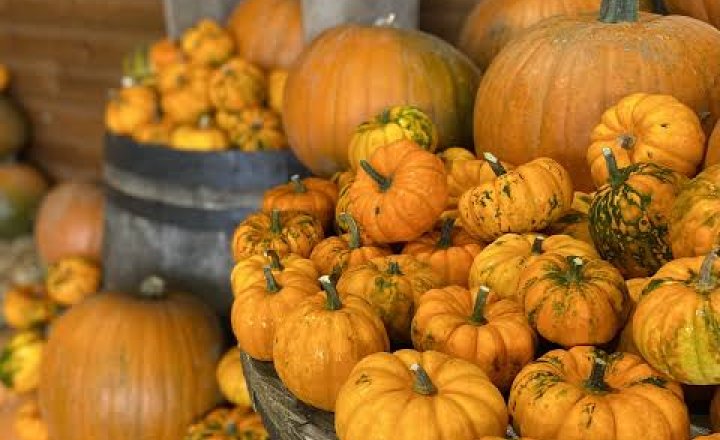 Image of PTA Pumpkin Event
