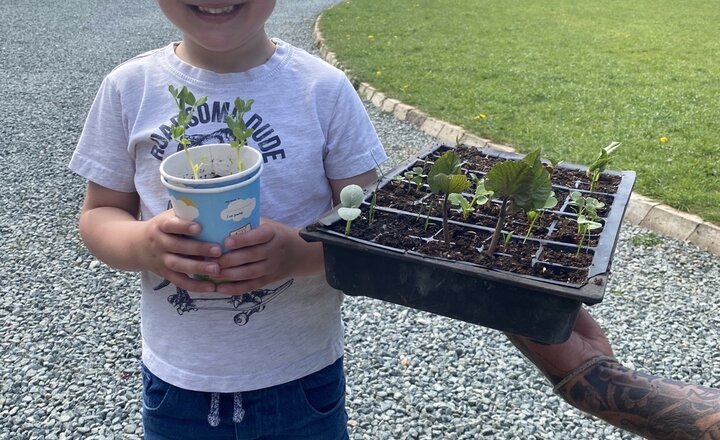 Image of School closure gallery now running