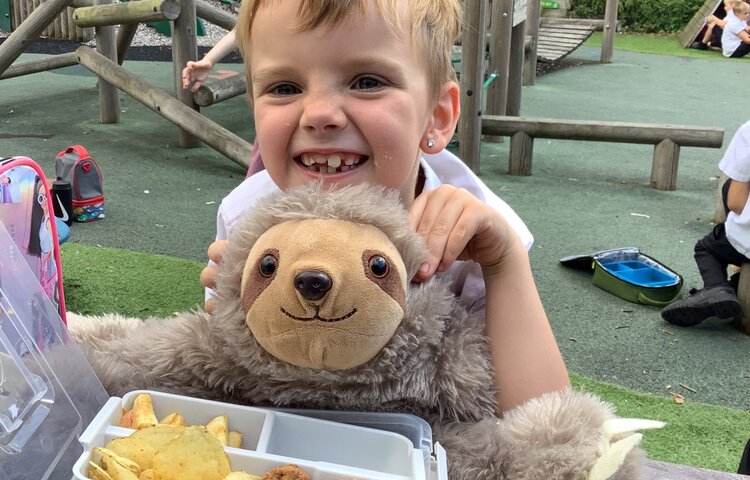 Image of Teddy Bears Picnic