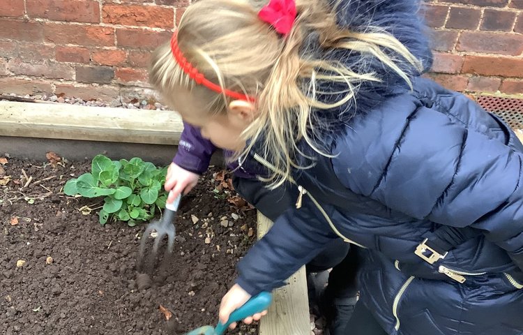 Image of Gardening 