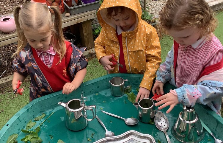 Image of Making peppermint tea! 