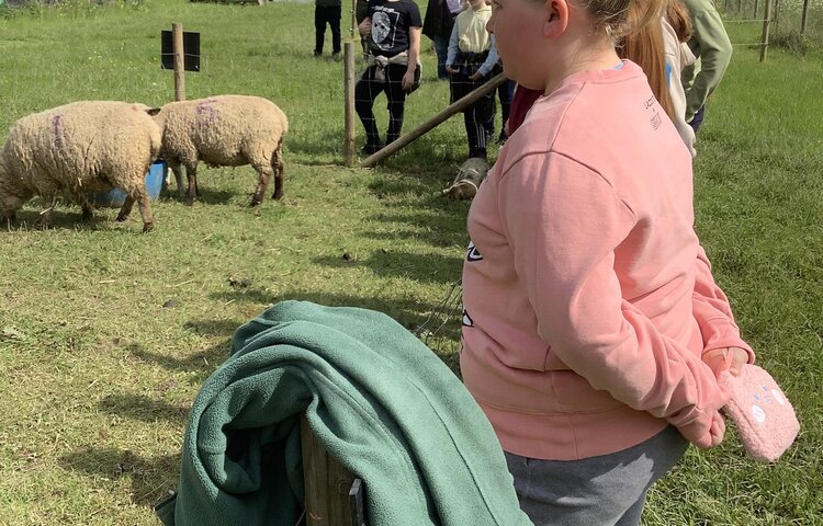 Image of Packington Farm Trip