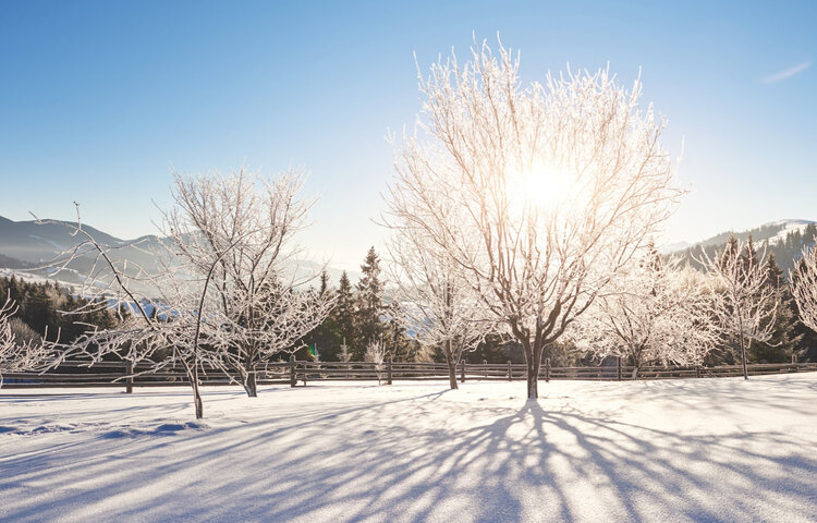 Image of Wonderful Winter