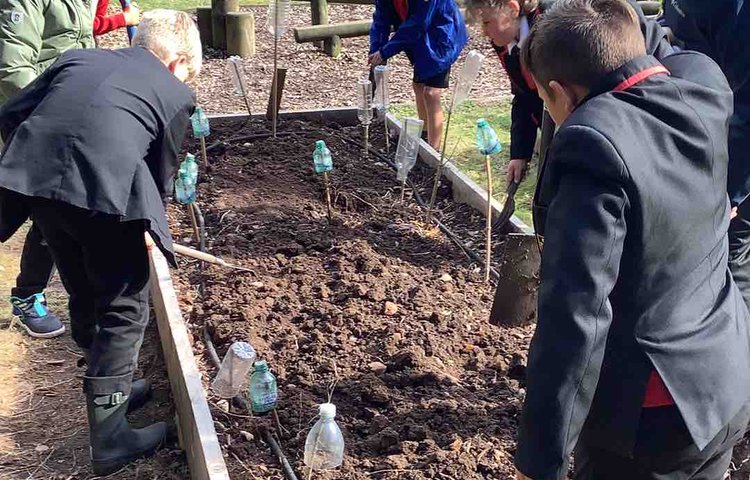 Image of Preparing our raised beds 