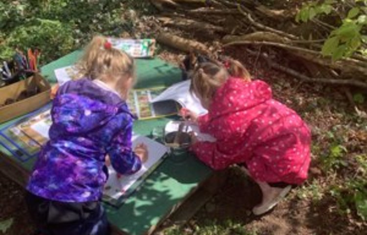 Image of Outdoor learning 