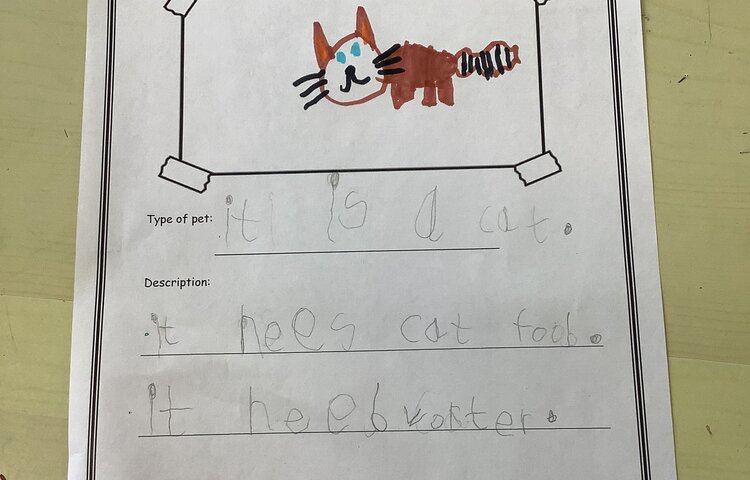 Image of We are learning about pets! 
