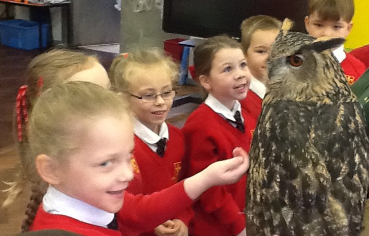 Image of An Exciting Animal Man Visit