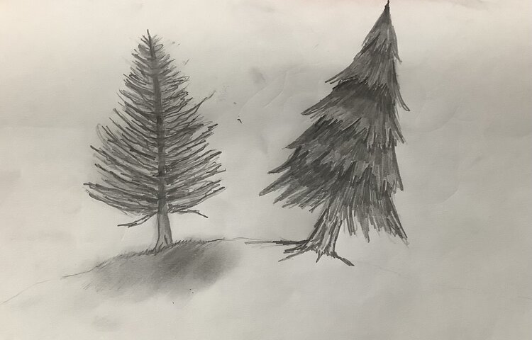 Image of Drawing Trees in Art