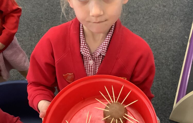 Image of Creating hedgehogs with play dough and equipment!