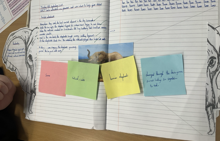 Image of Amazing Noun Phrase Sentences
