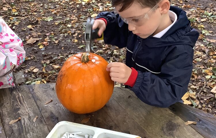 Image of Pumpkin hammering! 