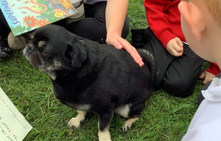 Image of Shared reading with Ralph!