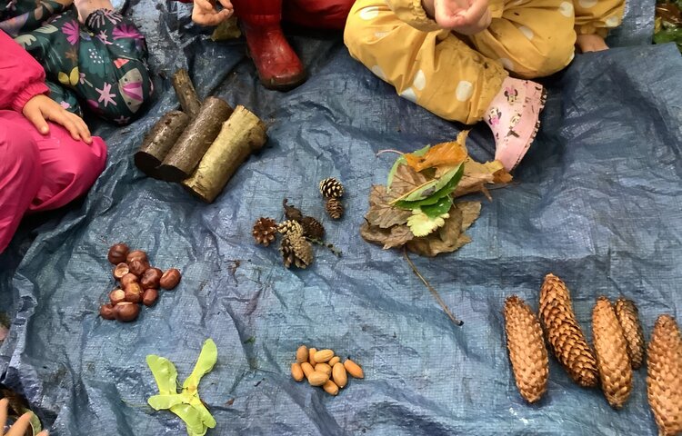 Image of Noticing and sorting! 