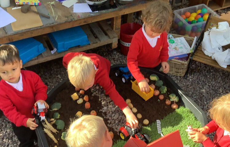 Image of Harvest and fruit and vegetables!