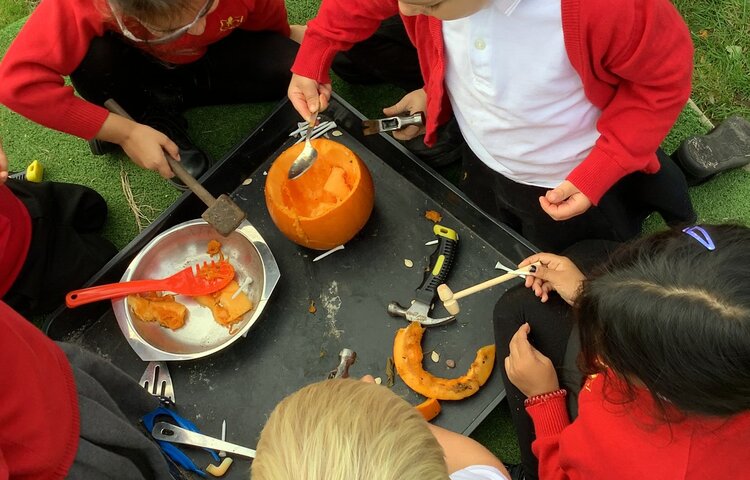 Image of Pumpkin fun! 