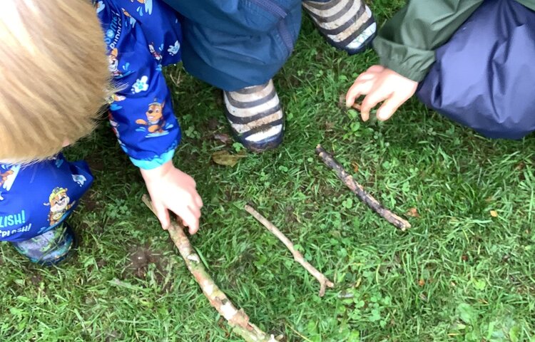 Image of Finding 1,2,3! 