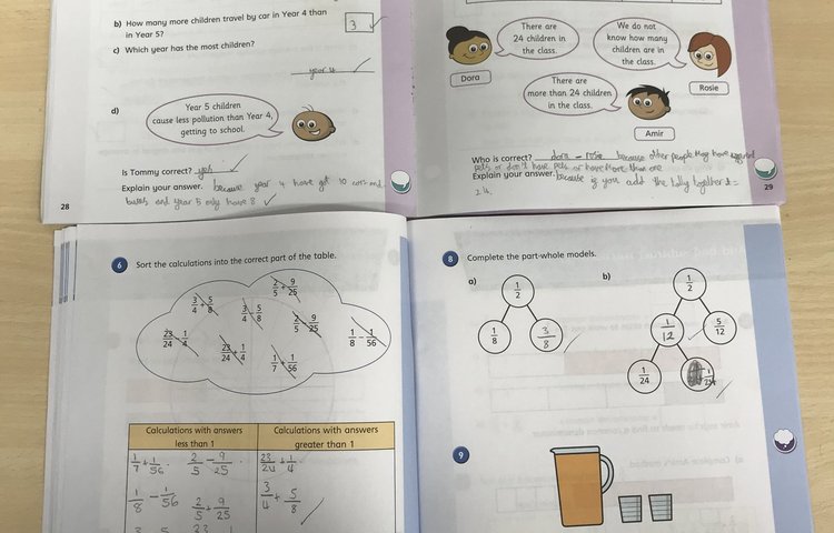 Image of Statistics and Fractions