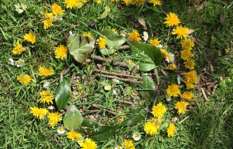 Image of Andy Goldsworthy Inspired Artwork