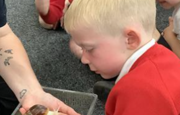 Image of A super animal visit from Rodbaston!