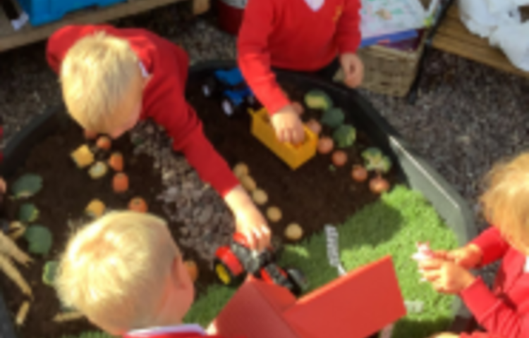 Image of Harvest and fruit and vegetables!