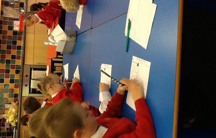 Image of Instruction writing