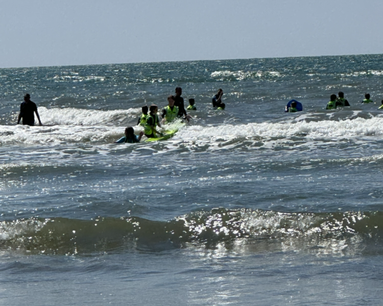 Image of Fun in the sea