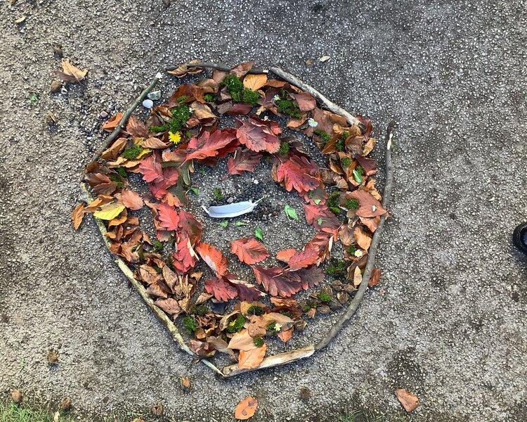 Image of Rangolinatural