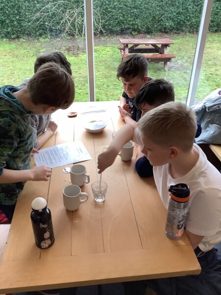 Image of Having a great time making Viking bread