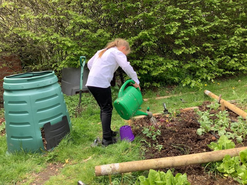 Image of Un-beet-able gardening!