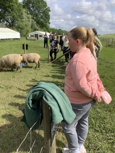 Image of Packington Farm Trip