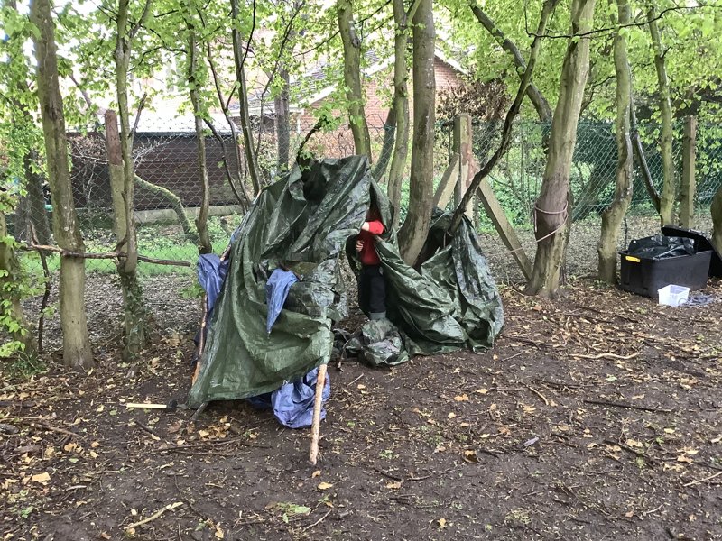 Image of Forest school ethos 