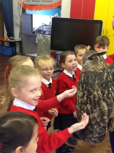 Image of An Exciting Animal Man Visit