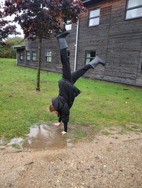 Image of Fun in the mud 