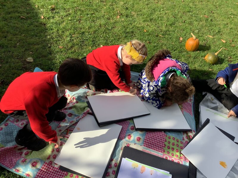 Image of Art outside in the autumn sun! 