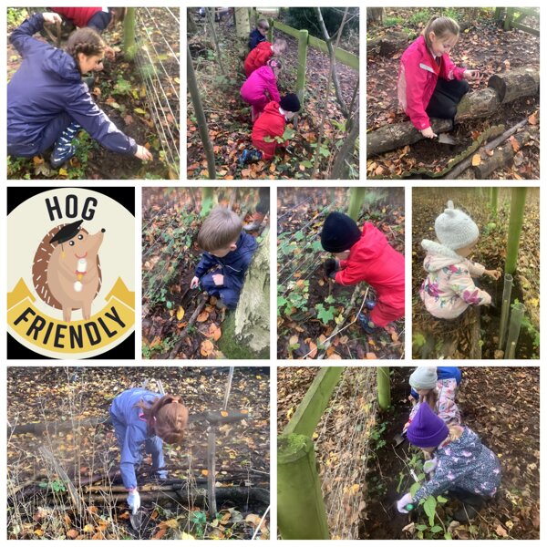 Image of Tree planting