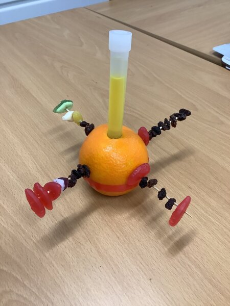 Image of Christingle  Making