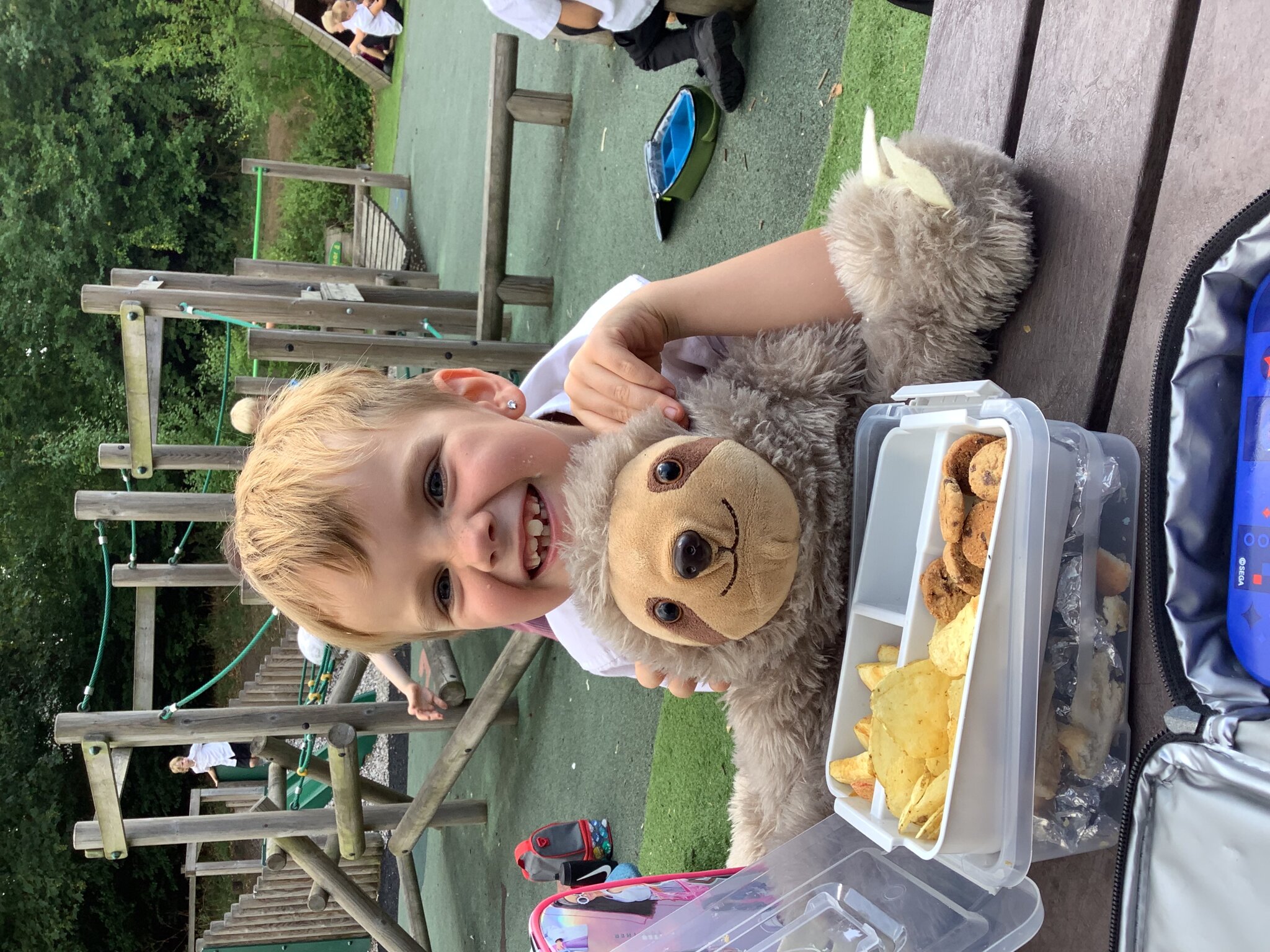 Image of Teddy Bears Picnic