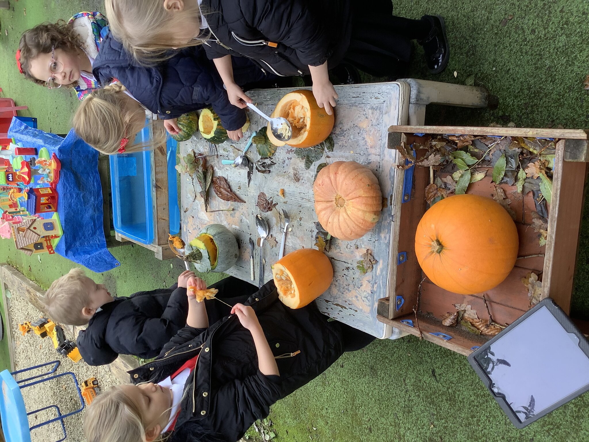 Image of Exploring pumpkins! 