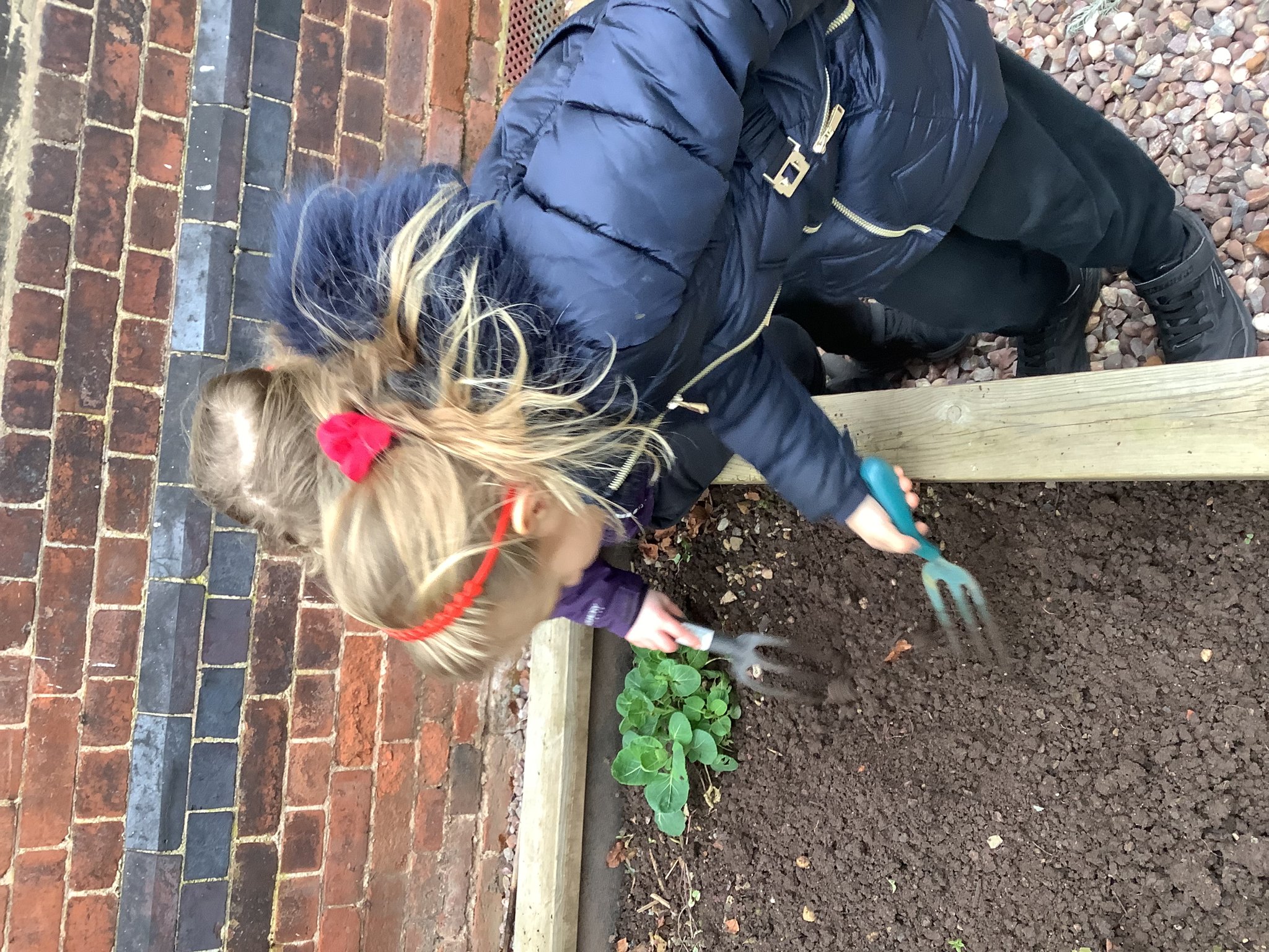 Image of Gardening 