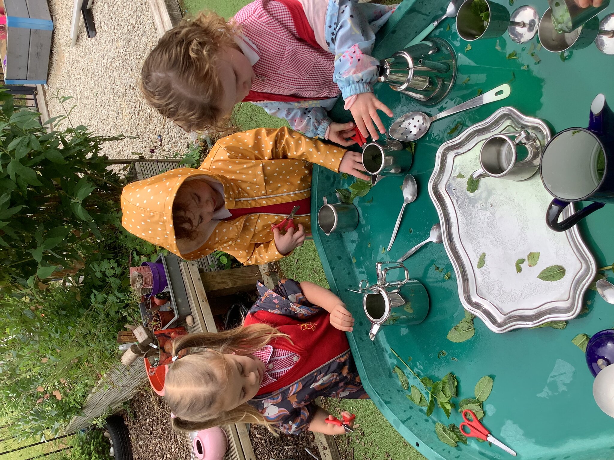 Image of Making peppermint tea! 