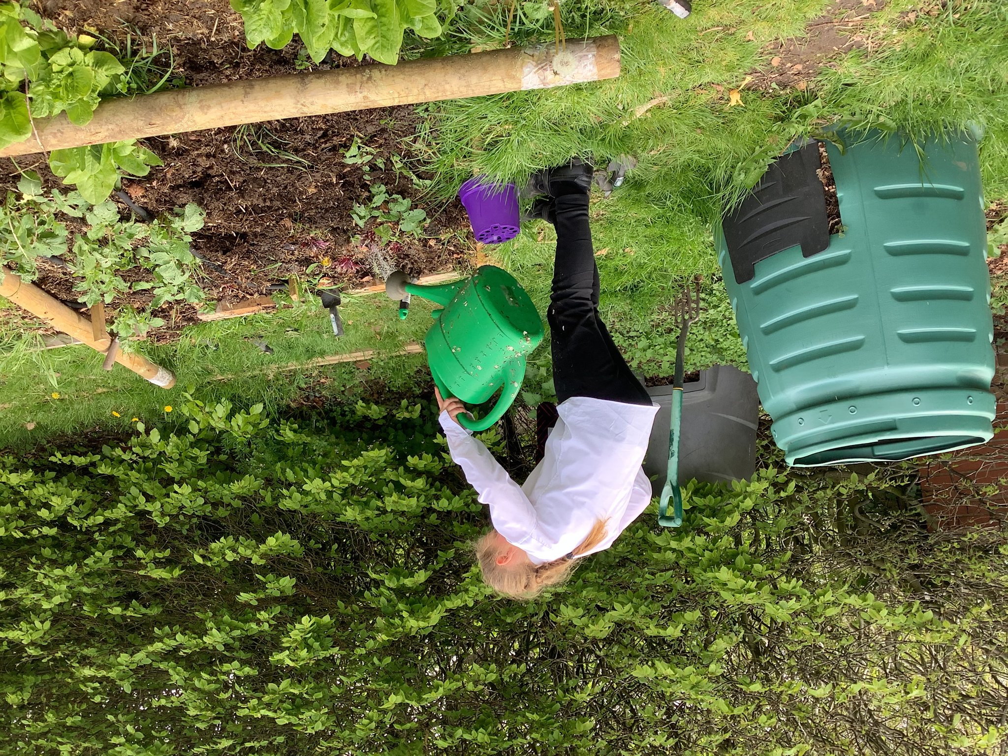 Image of Un-beet-able gardening!