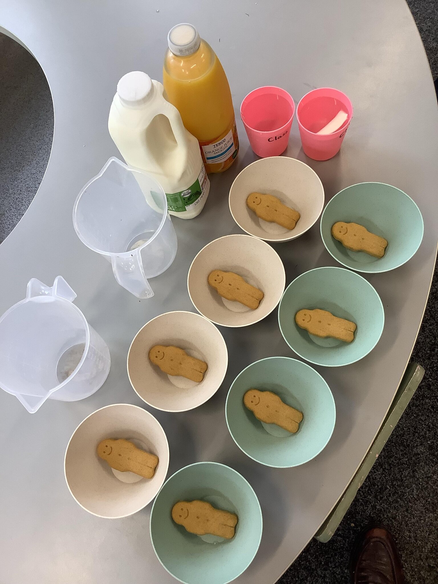 Image of Gingerbread experiment