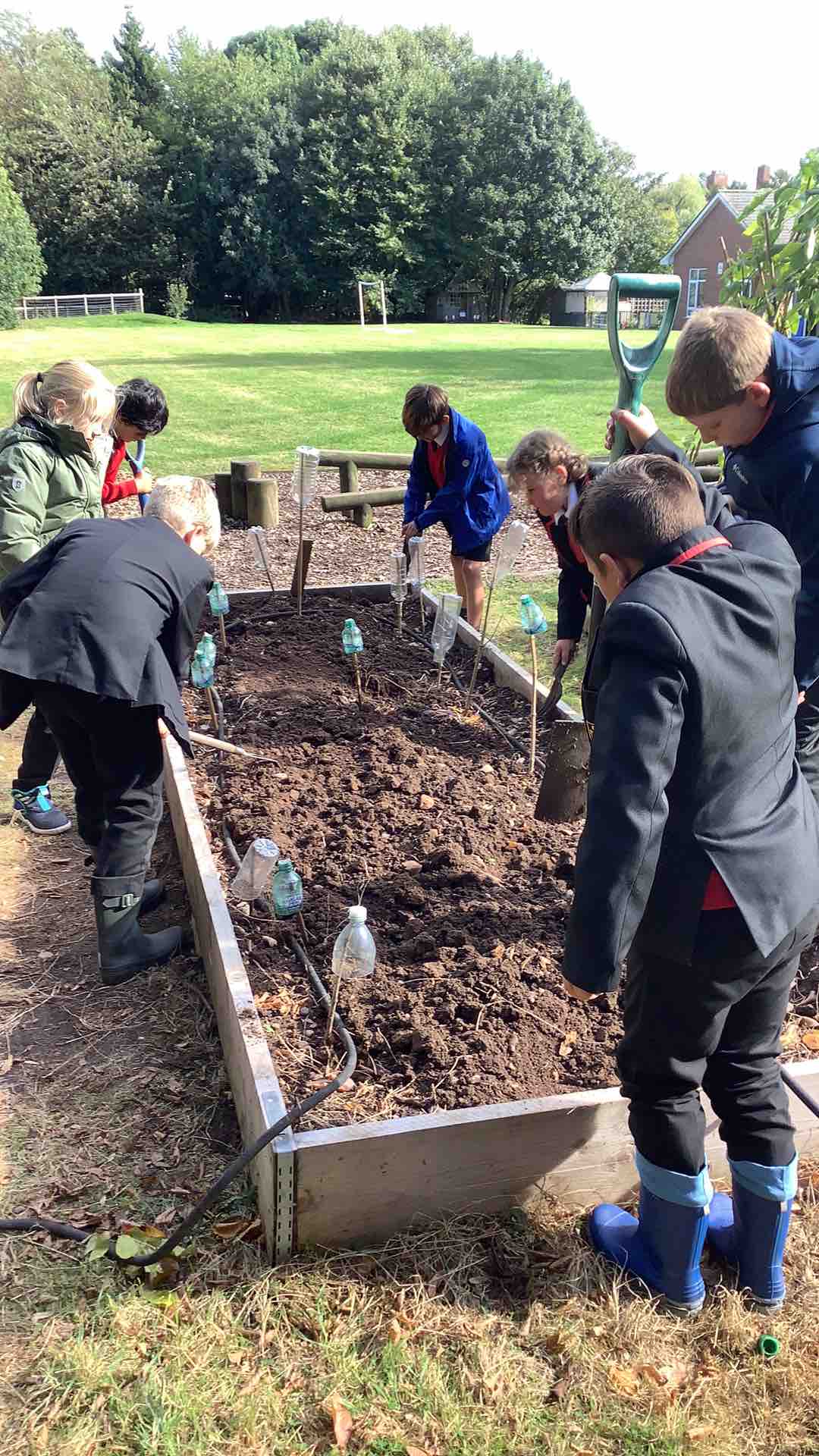 Image of Preparing our raised beds 