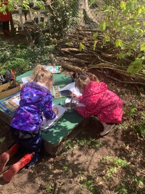 Image of Outdoor learning 