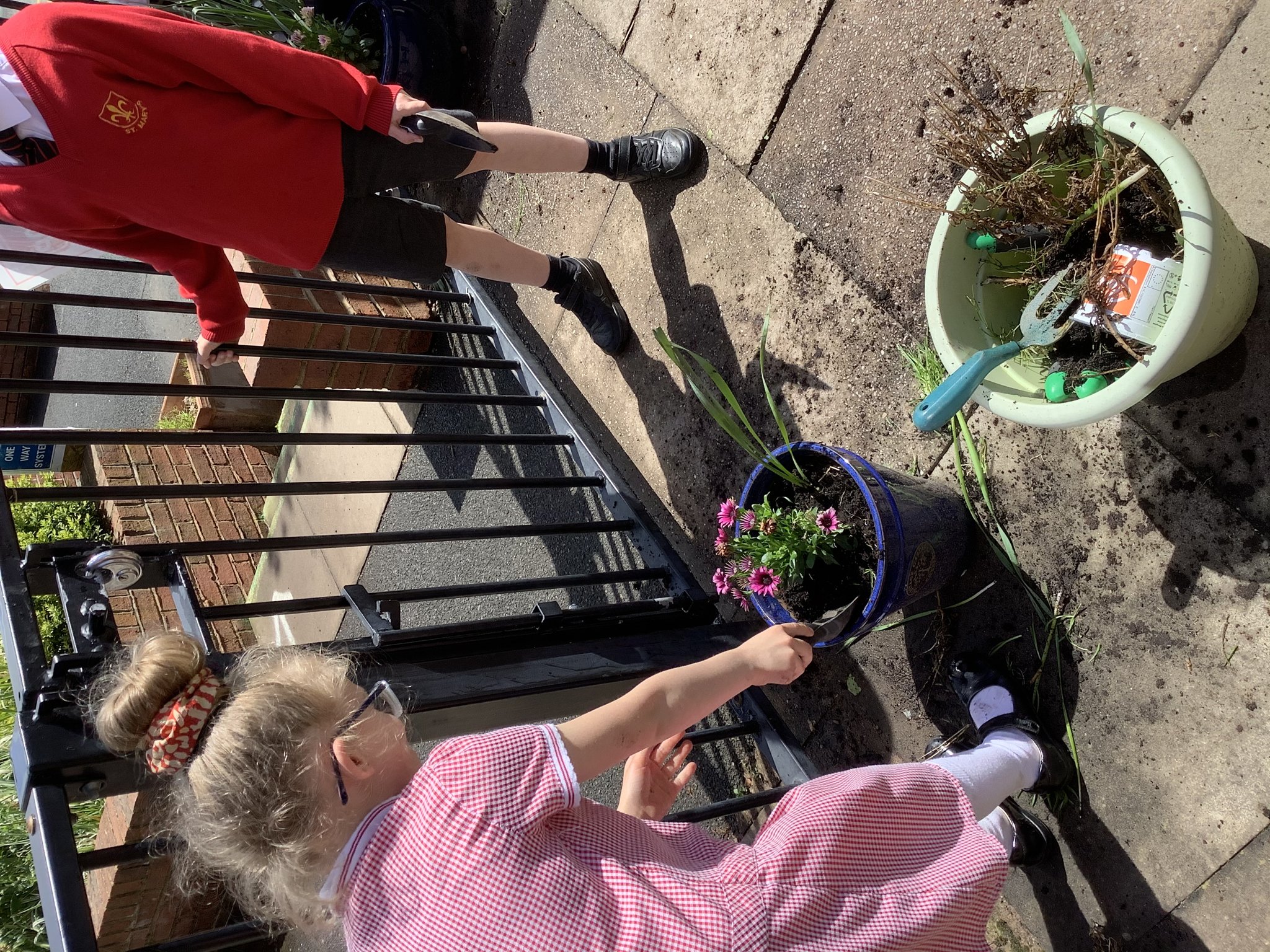 Image of Gardening this afternoon 