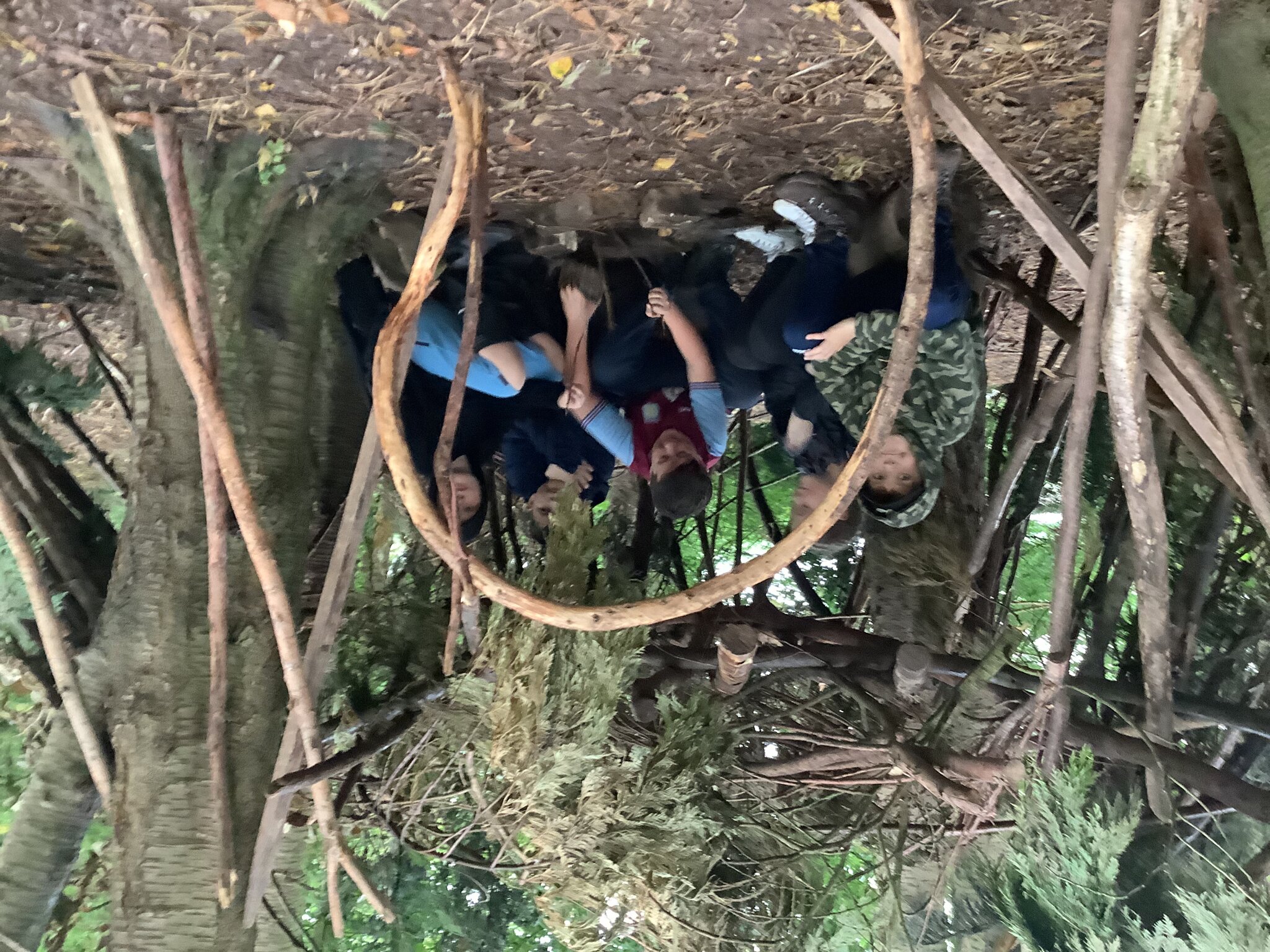 Image of Den building 