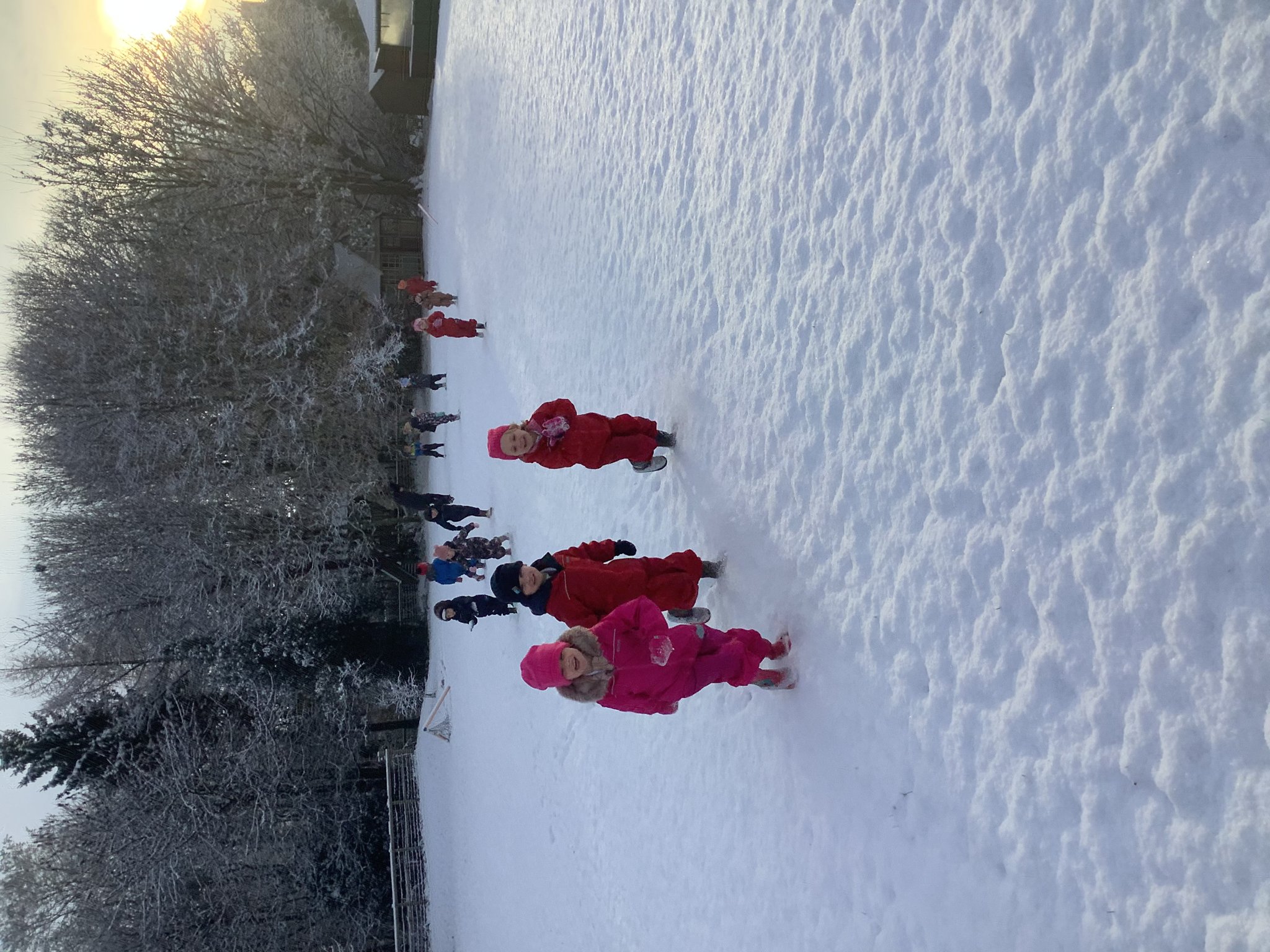 Image of Class one exploring the snow!