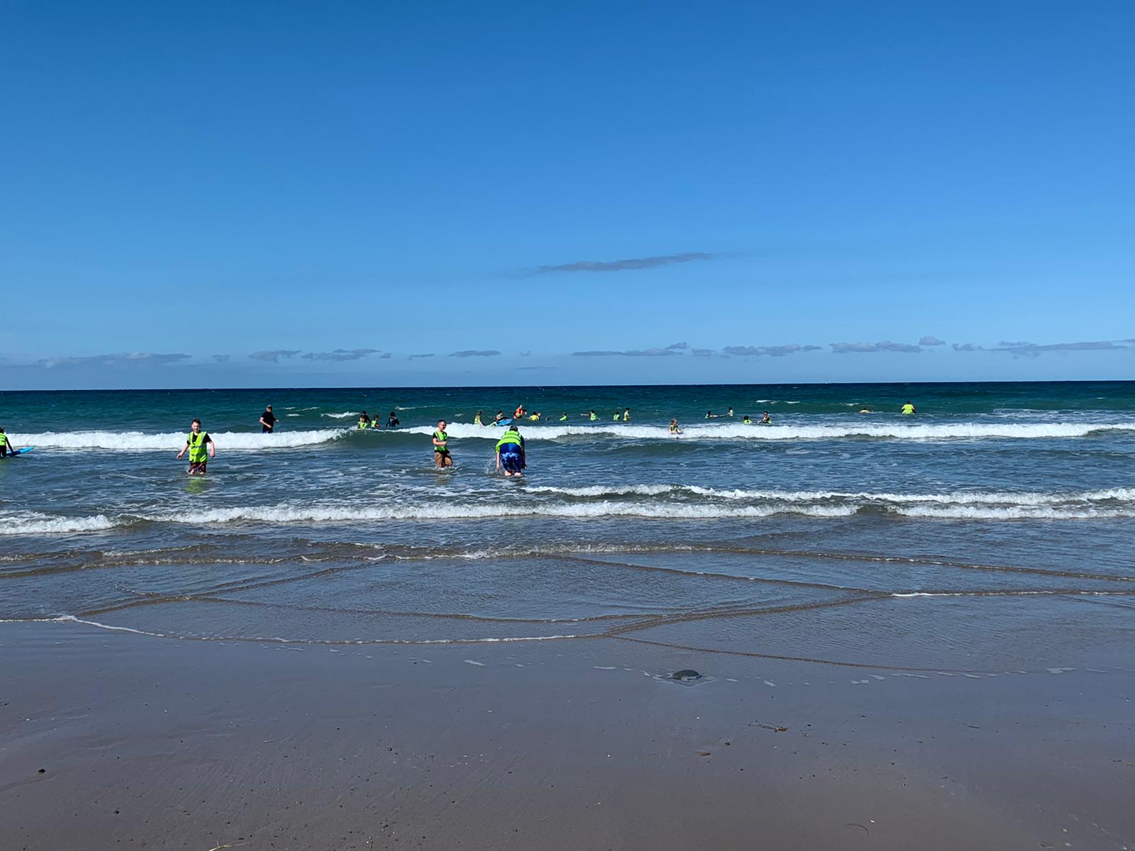 Image of Swimming time 