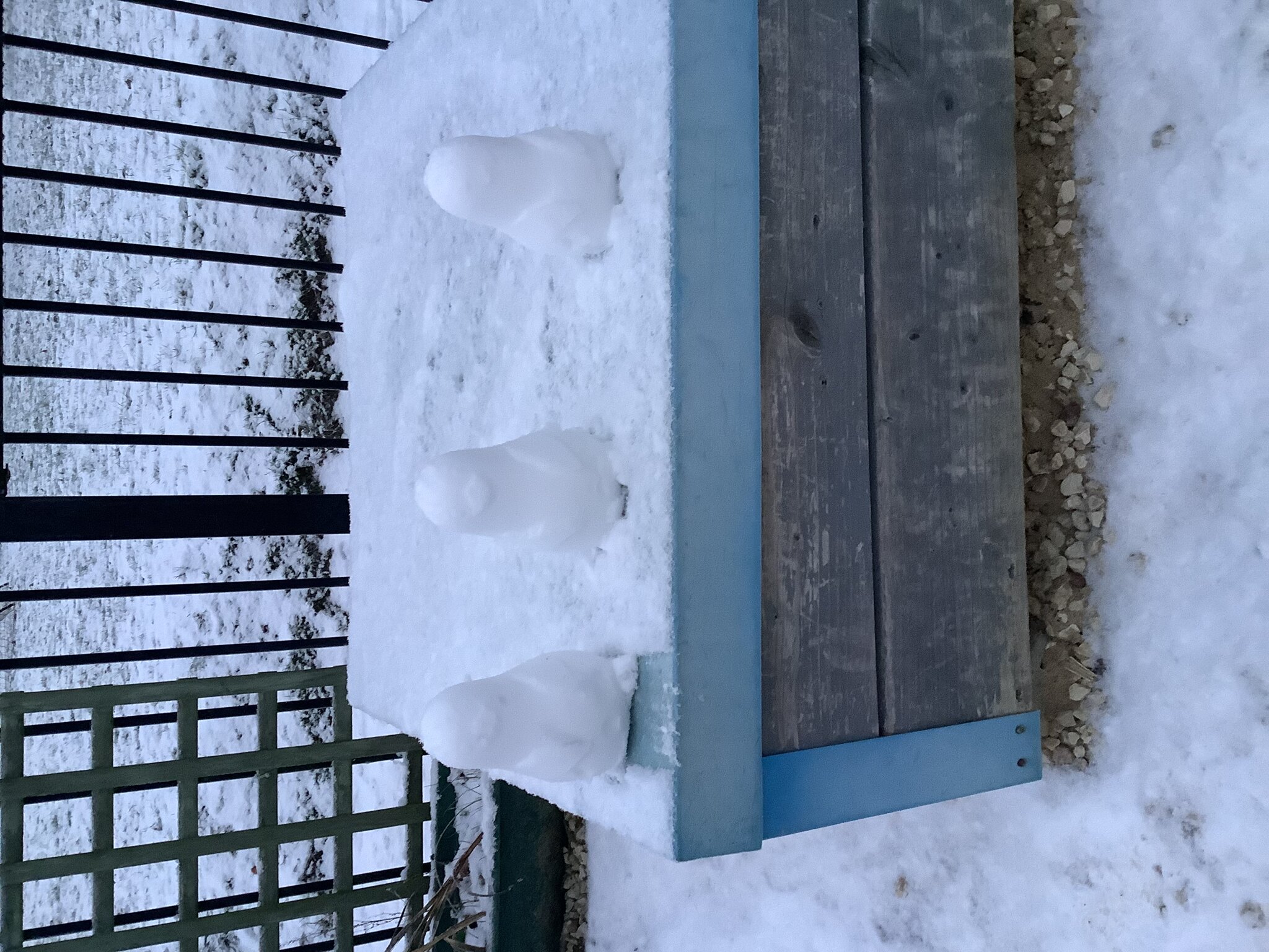 Image of Building ice penguins!