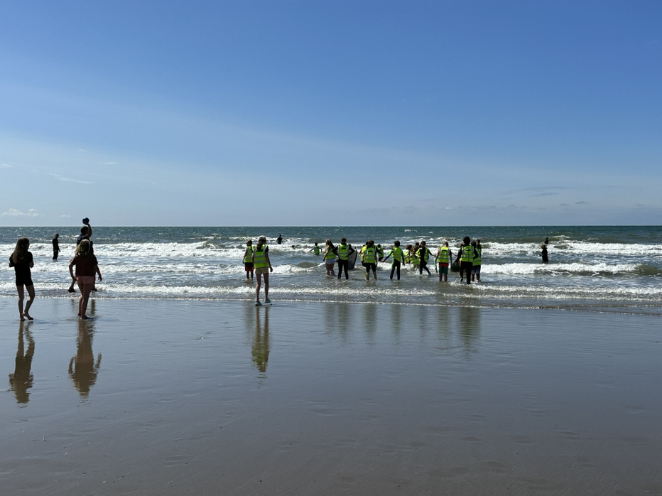 Image of Fun in the sea this afternoon